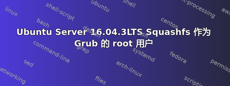 Ubuntu Server 16.04.3LTS Squashfs 作为 Grub 的 root 用户