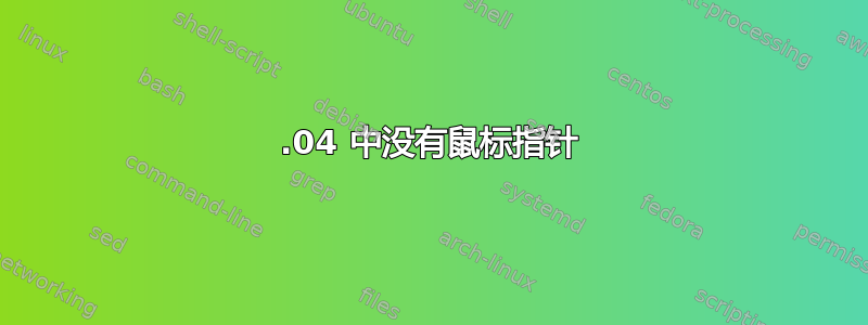 22.04 中没有鼠标指针