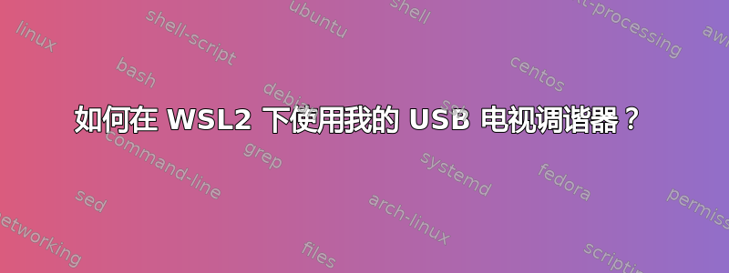 如何在 WSL2 下使用我的 USB 电视调谐器？