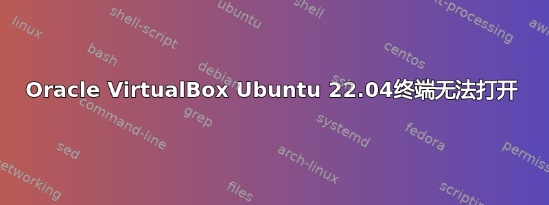 Oracle VirtualBox Ubuntu 22.04终端无法打开