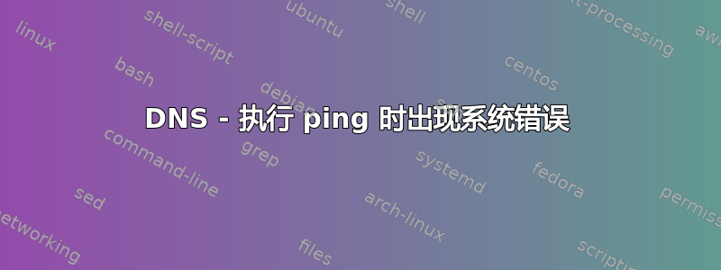 DNS - 执行 ping 时出现系统错误