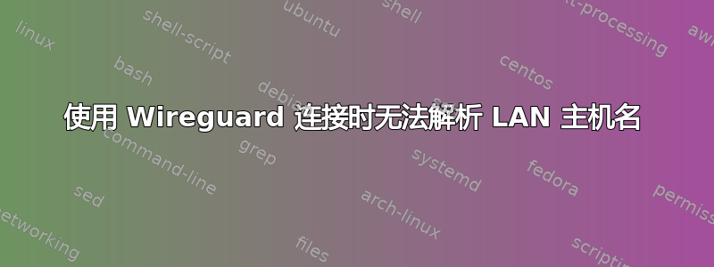 使用 Wireguard 连接时无法解析 LAN 主机名