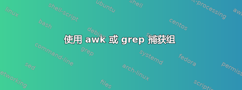 使用 awk 或 grep 捕获组