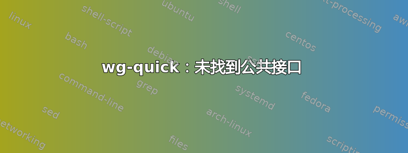 wg-quick：未找到公共接口