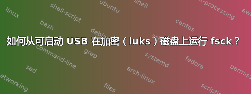 如何从可启动 USB 在加密（luks）磁盘上运行 fsck？