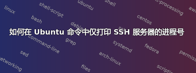 如何在 Ubuntu 命令中仅打印 SSH 服务器的进程号