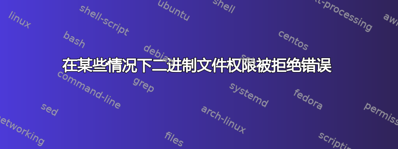 在某些情况下二进制文件权限被拒绝错误