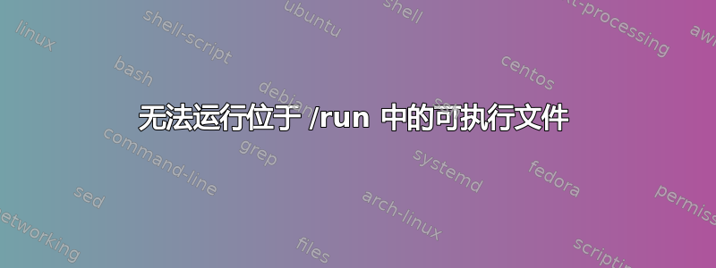无法运行位于 /run 中的可执行文件