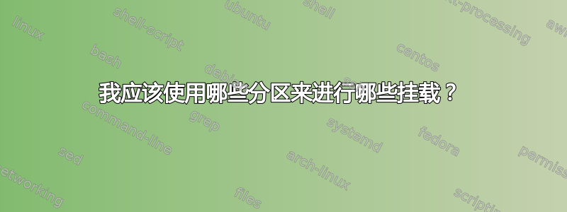 我应该使用哪些分区来进行哪些挂载？