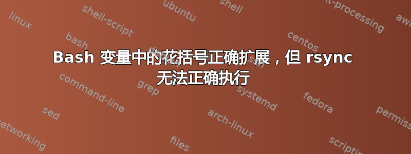 Bash 变量中的花括号正确扩展，但 rsync 无法正确执行