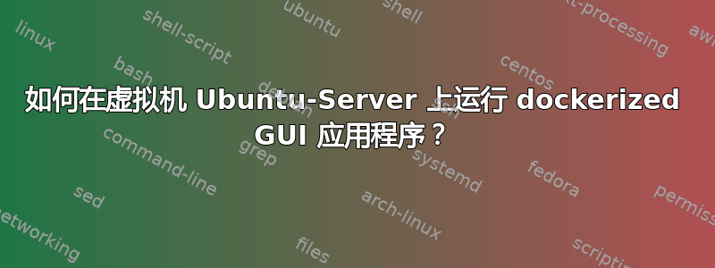 如何在虚拟机 Ubuntu-Server 上运行 dockerized GUI 应用程序？