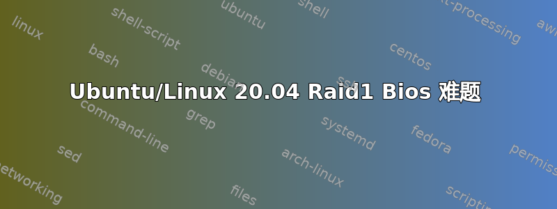 Ubuntu/Linux 20.04 Raid1 Bios 难题