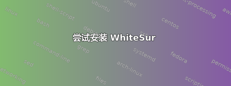 尝试安装 WhiteSur