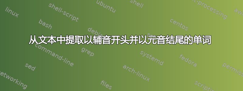 从文本中提取以辅音开头并以元音结尾的单词