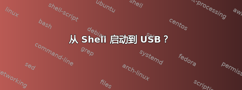 从 Shell 启动到 USB？