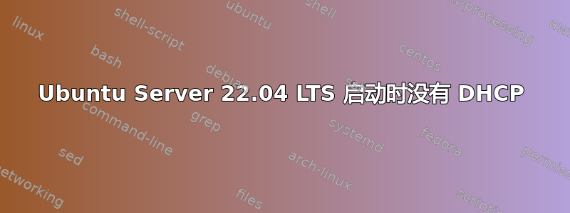 Ubuntu Server 22.04 LTS 启动时没有 DHCP