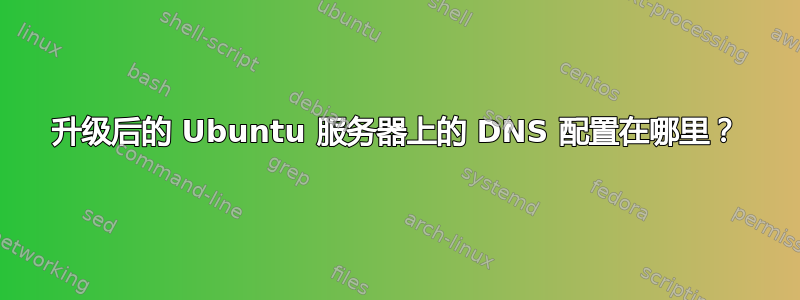 升级后的 Ubuntu 服务器上的 DNS 配置在哪里？