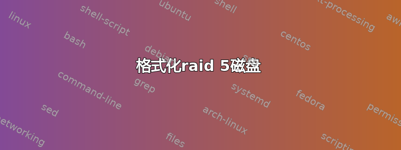 格式化raid 5磁盘