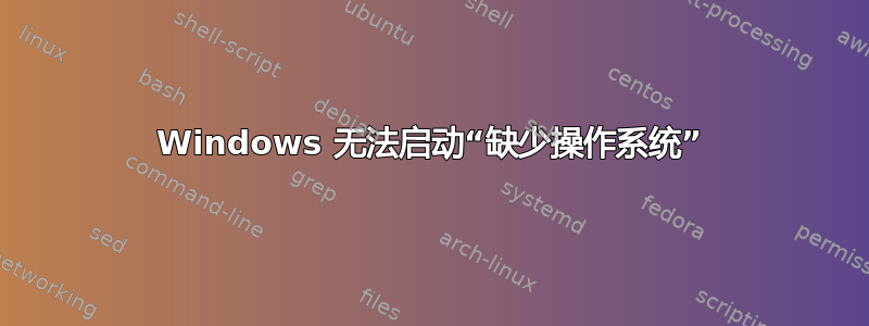 Windows 无法启动“缺少操作系统”