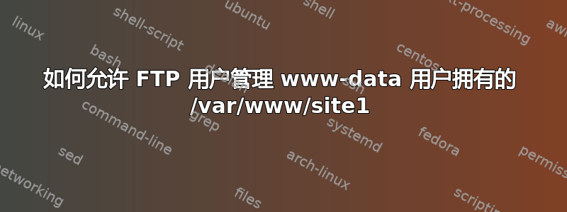 如何允许 FTP 用户管理 www-data 用户拥有的 /var/www/site1