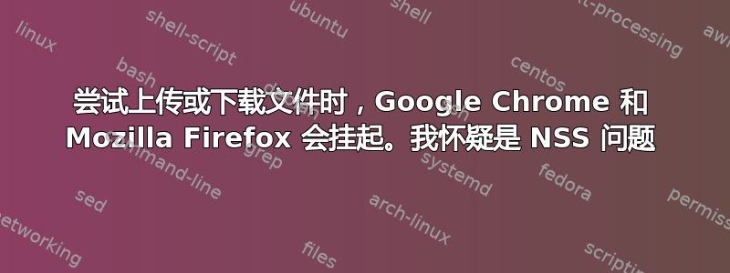 尝试上传或下载文件时，Google Chrome 和 Mozilla Firefox 会挂起。我怀疑是 NSS 问题