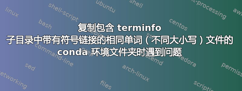 复制包含 terminfo 子目录中带有符号链接的相同单词（不同大小写）文件的 conda 环境文件夹时遇到问题