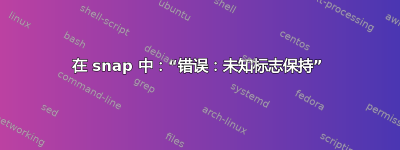 在 snap 中：“错误：未知标志保持”