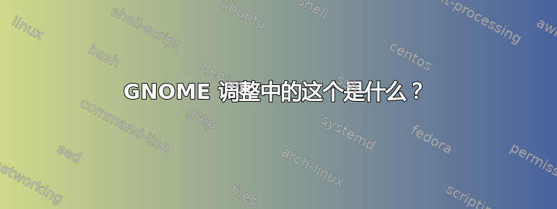 GNOME 调整中的这个是什么？