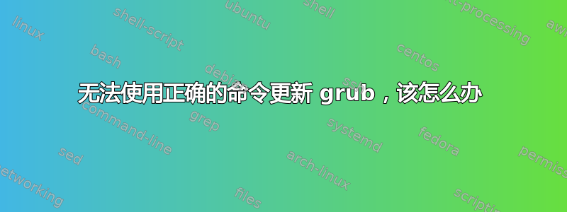 无法使用正确的命令更新 grub，该怎么办