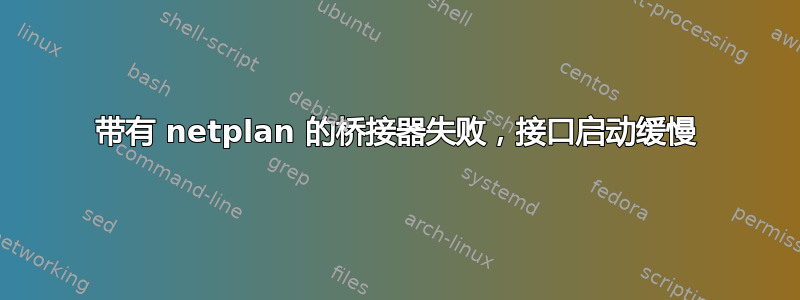 带有 netplan 的桥接器失败，接口启动缓慢