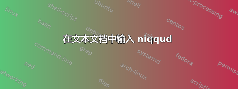 在文本文档中输入 niqqud