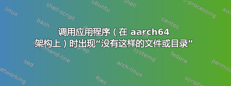 调用应用程序（在 aarch64 架构上）时出现“没有这样的文件或目录”