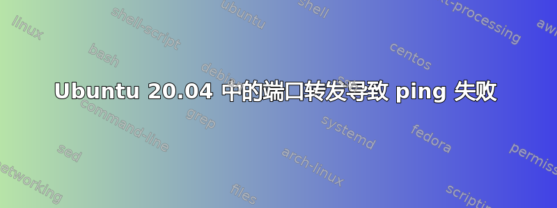 Ubuntu 20.04 中的端口转发导致 ping 失败