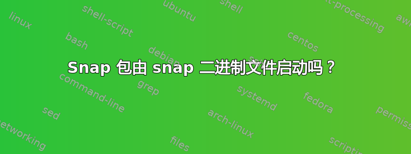 Snap 包由 snap 二进制文件启动吗？