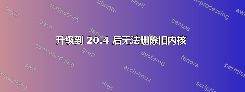 升级到 20.4 后无法删除旧内核