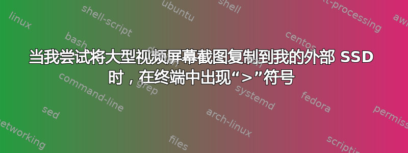 当我尝试将大型视频屏幕截图复制到我的外部 SSD 时，在终端中出现“>”符号