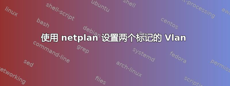 使用 netplan 设置两个标记的 Vlan