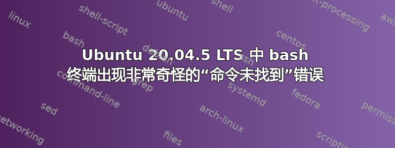 Ubuntu 20.04.5 LTS 中 bash 终端出现非常奇怪的“命令未找到”错误