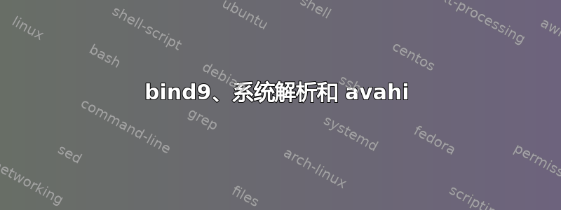 bind9、系统解析和 avahi