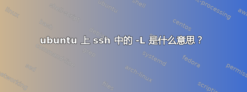 ubuntu 上 ssh 中的 -L 是什么意思？