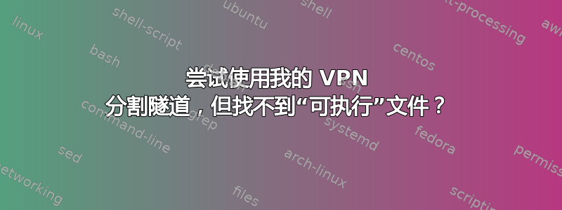 尝试使用我的 VPN 分割隧道，但找不到“可执行”文件？