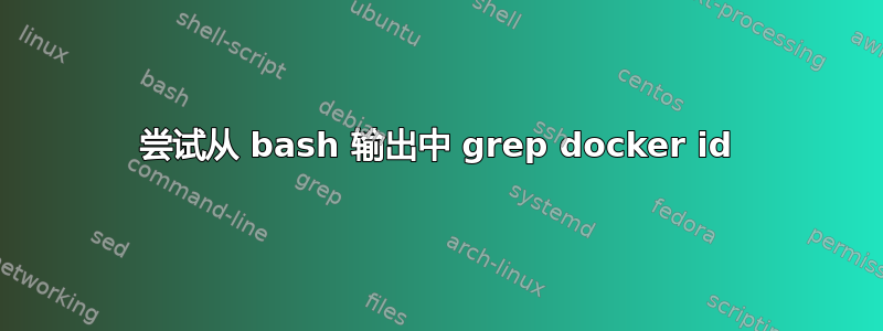 尝试从 bash 输出中 grep docker id