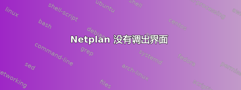 Netplan 没有调出界面