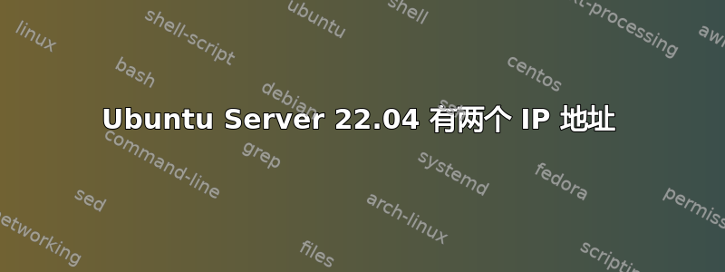 Ubuntu Server 22.04 有两个 IP 地址