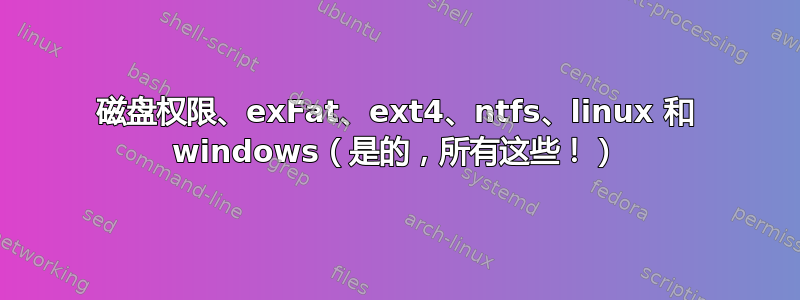 磁盘权限、exFat、ext4、ntfs、linux 和 windows（是的，所有这些！）