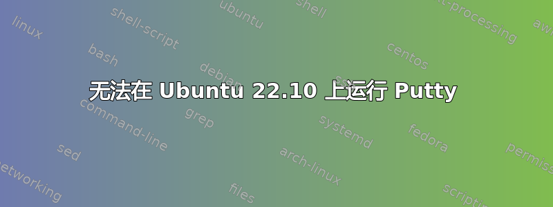 无法在 Ubuntu 22.10 上运行 Putty