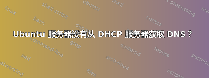 Ubuntu 服务器没有从 DHCP 服务器获取 DNS？