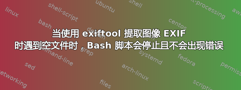 当使用 exiftool 提取图像 EXIF 时遇到空文件时，Bash 脚本会停止且不会出现错误