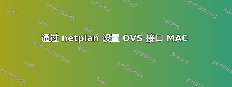 通过 netplan 设置 OVS 接口 MAC