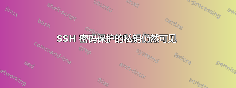 SSH 密码保护的私钥仍然可见